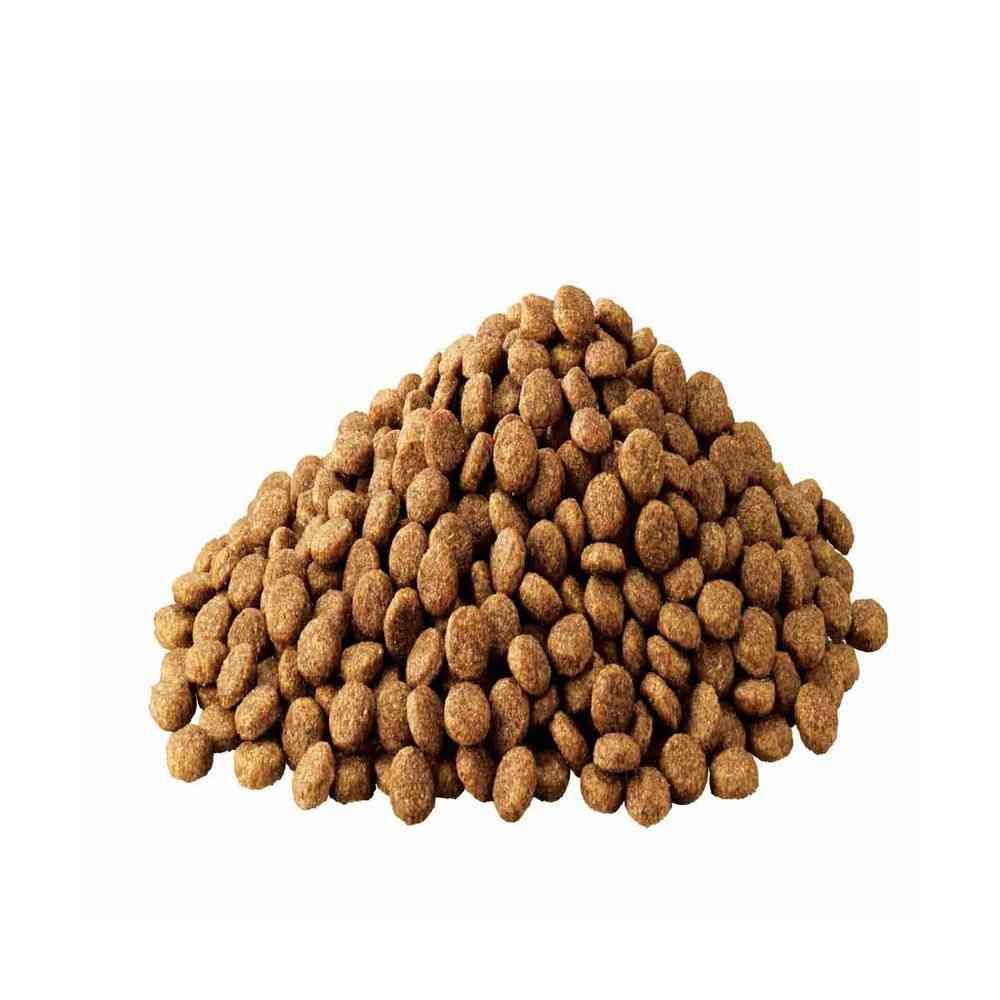 Mars Japan Iams Health Support for Dogs 7 Years and Older Chicken Small Kibble 5kg