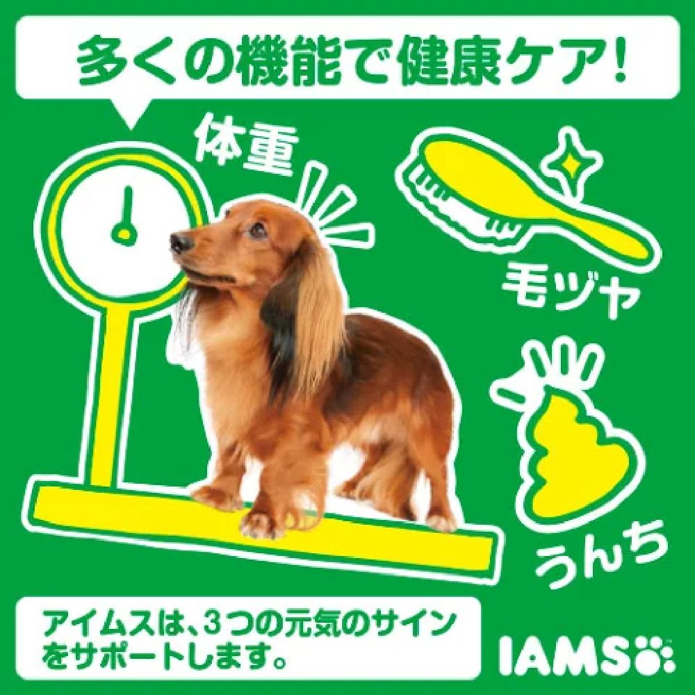 Iams Adult Dog Food, Chicken Small Bites, 5kg