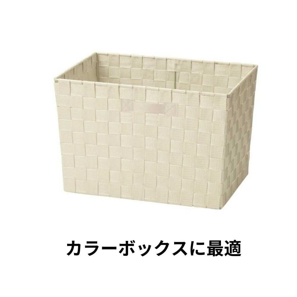 Chidori Sangyo PP Interior Box Deep Beige