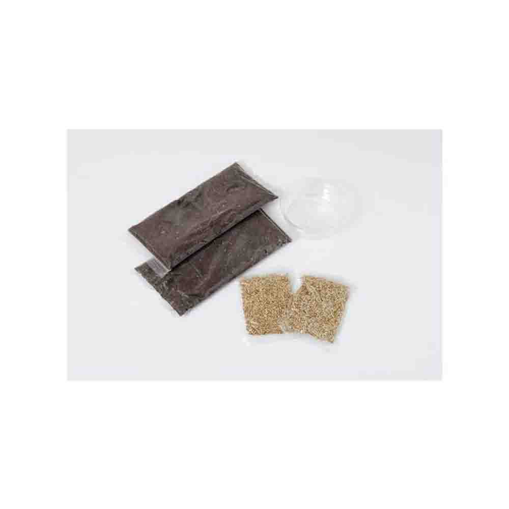Arata Rabbit Barley Growing Set 6 servings