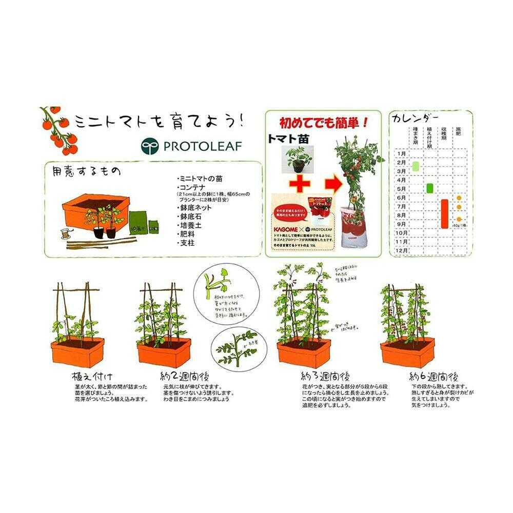 Protoleaf Light Tomato Soil 20L