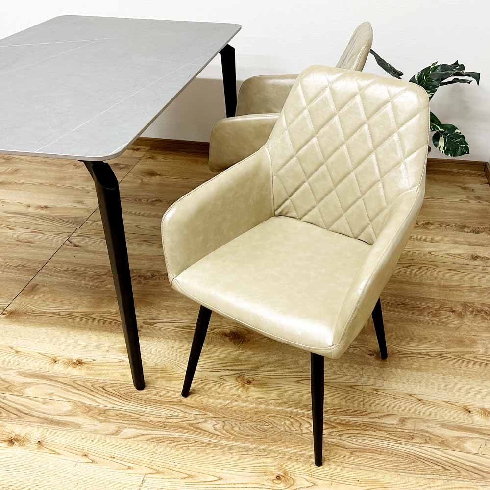 Rotating Dining Chair Set of 2 DC-CRP-CM