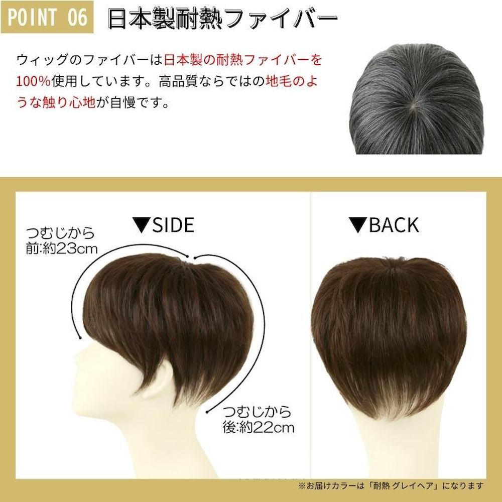 Priscilla Men's 5-Minute Wig Straight Short Heat Resistant
