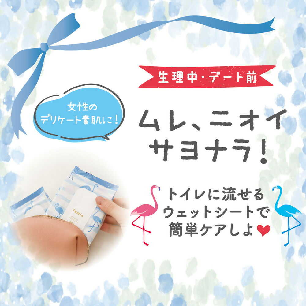 Reck FM Fem Wet Wipes Unscented 20 Sheets x 2