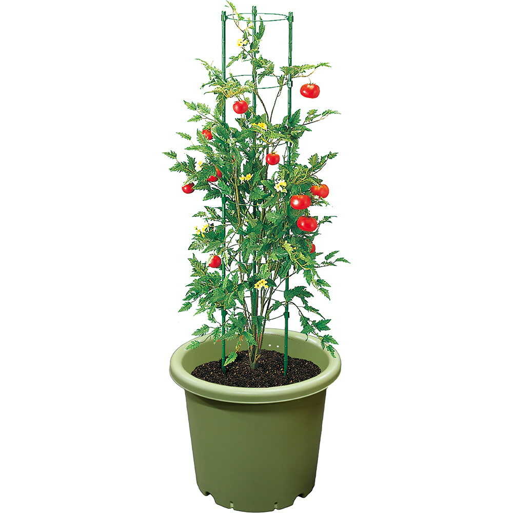 Anzen Kogyo AZ Veggie Pot 9 Type Green