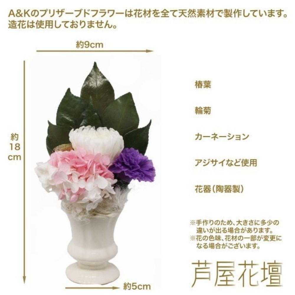 Preserved Flower Shihori with Vase AKM-004