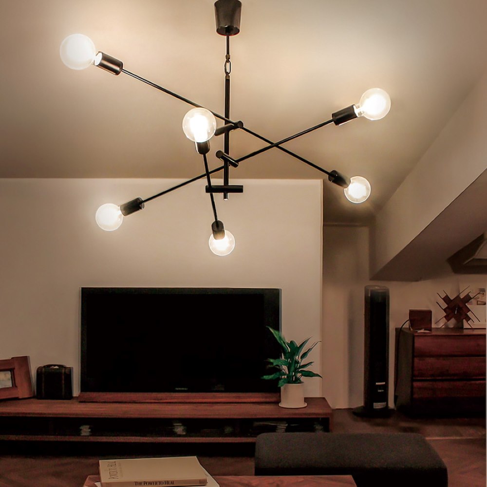 M9548 Cardinal Pendant Lamp BK LED Bulb