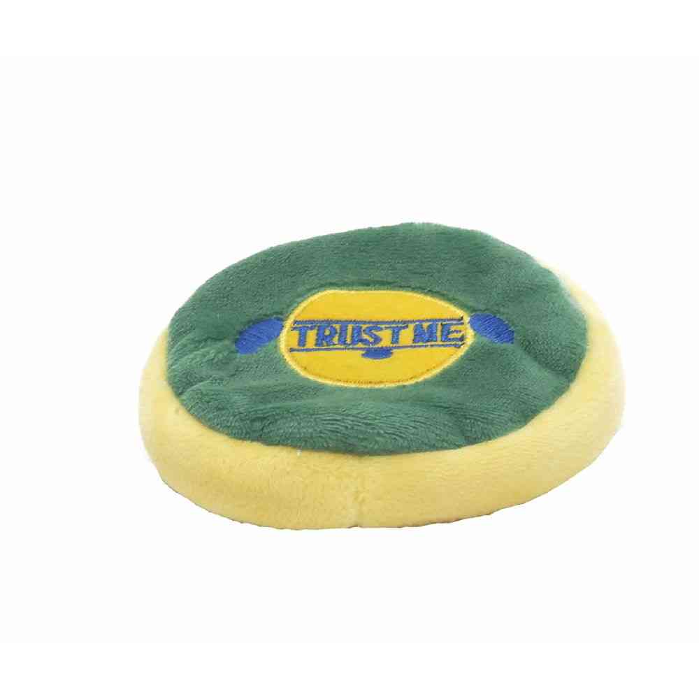 AI Products Retrieve Indoor Disk Mini Mint