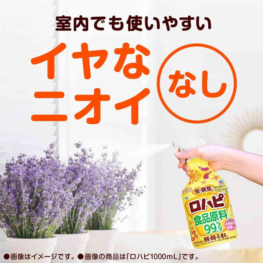 Earth Garden Rohapi Eco Pack 850ml