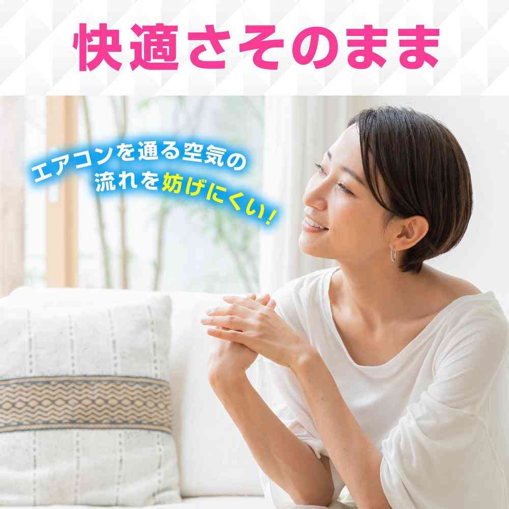 Earth Chemical Raku Hapi Air Conditioner Filter 2 Sheets