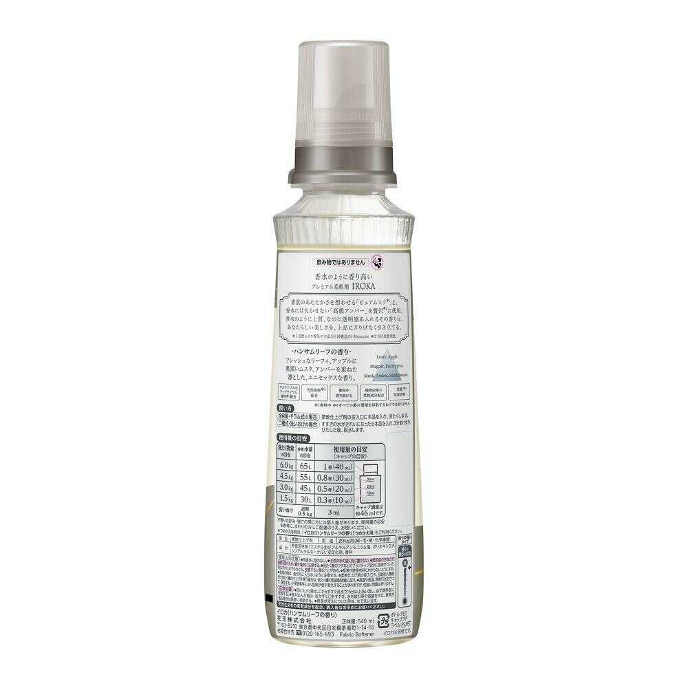Kao IROKA Handsome Leaf 540ml