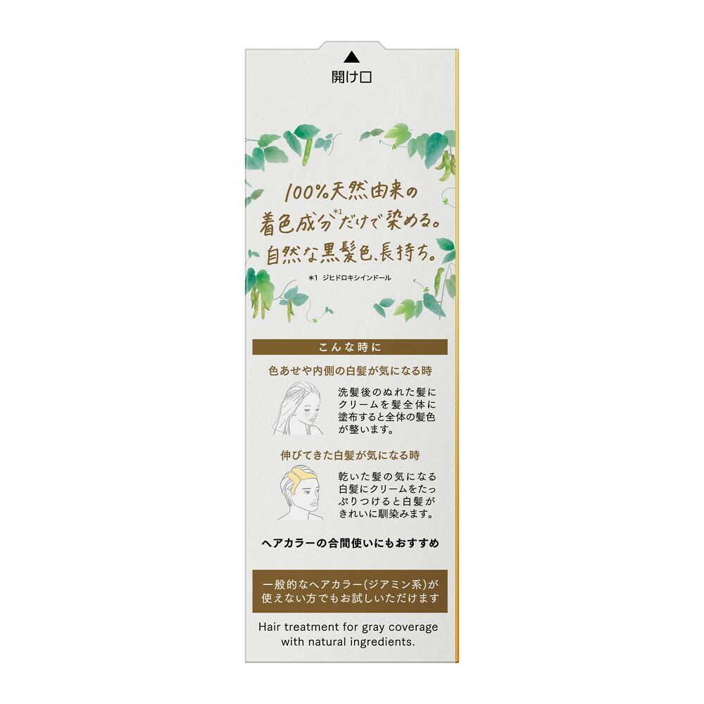 Kao Bologne Naturila Long-Lasting Color Treatment Black Refill 155g