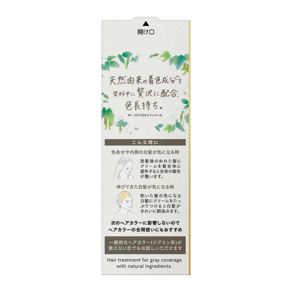 Kao Bione Naturila Long-Lasting Color Treatment Ash Brown Refill 155g