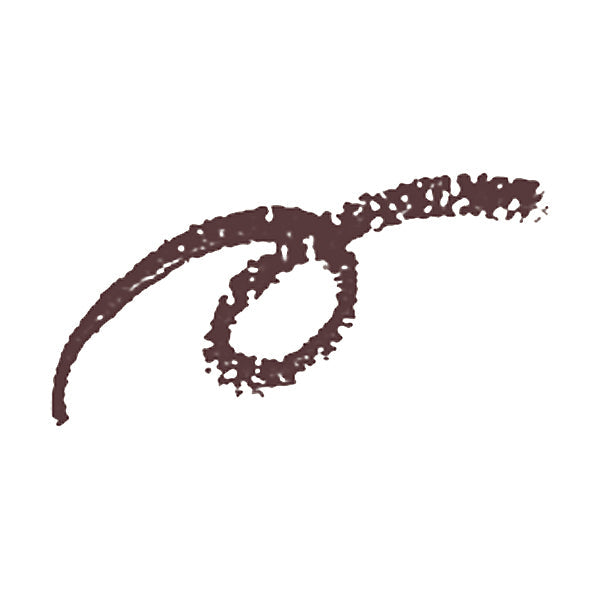 Shiseido Eyebrow Pencil 3