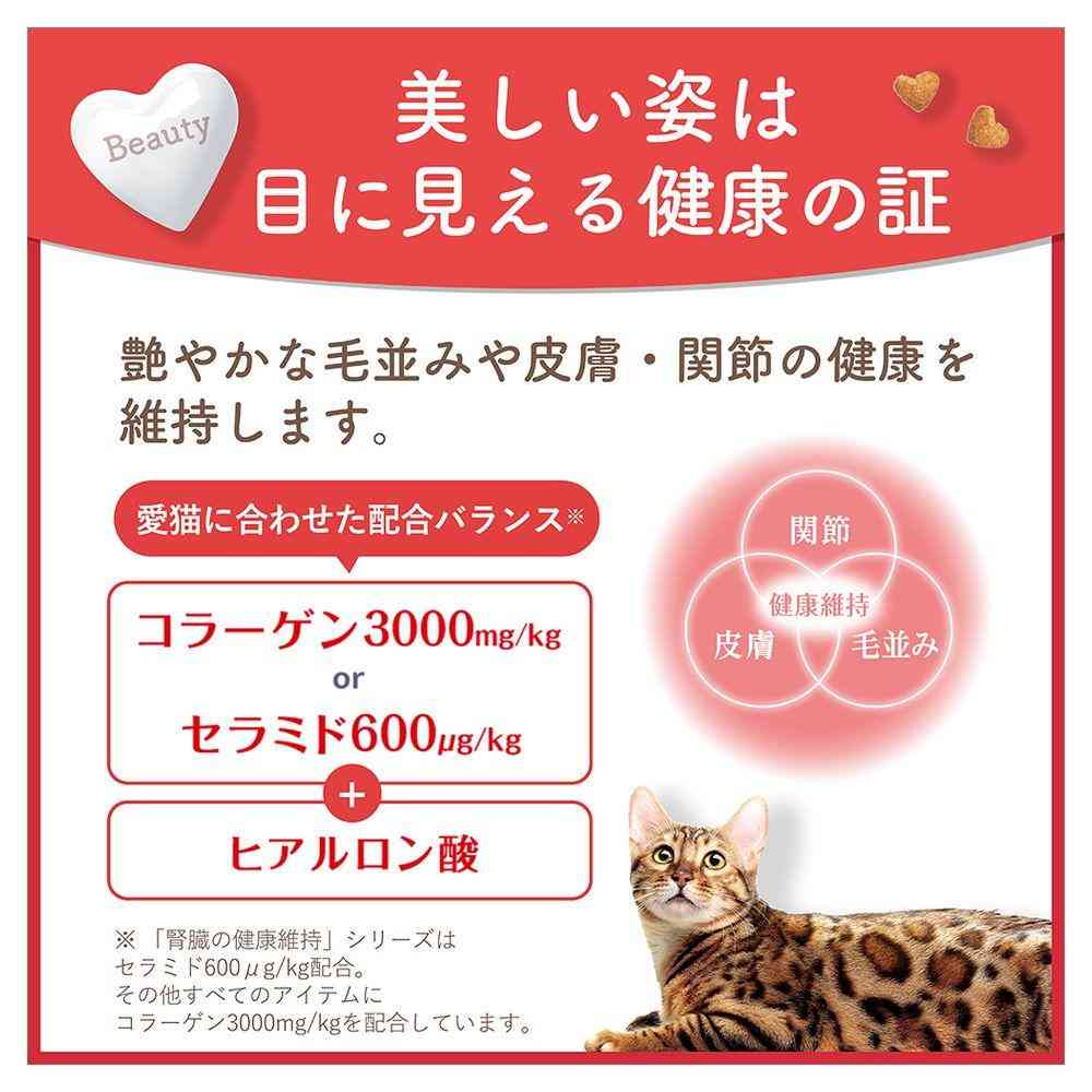 Nihon Pet Food Beauty Pro Cat W Care Intestinal Environment & Natural Immunity Care 1.2kg (240g x 5)