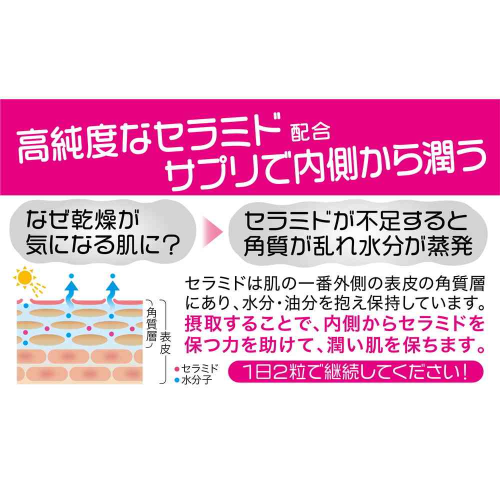 Nippon Seifun Moisturizing Ceramide 28 Capsules
