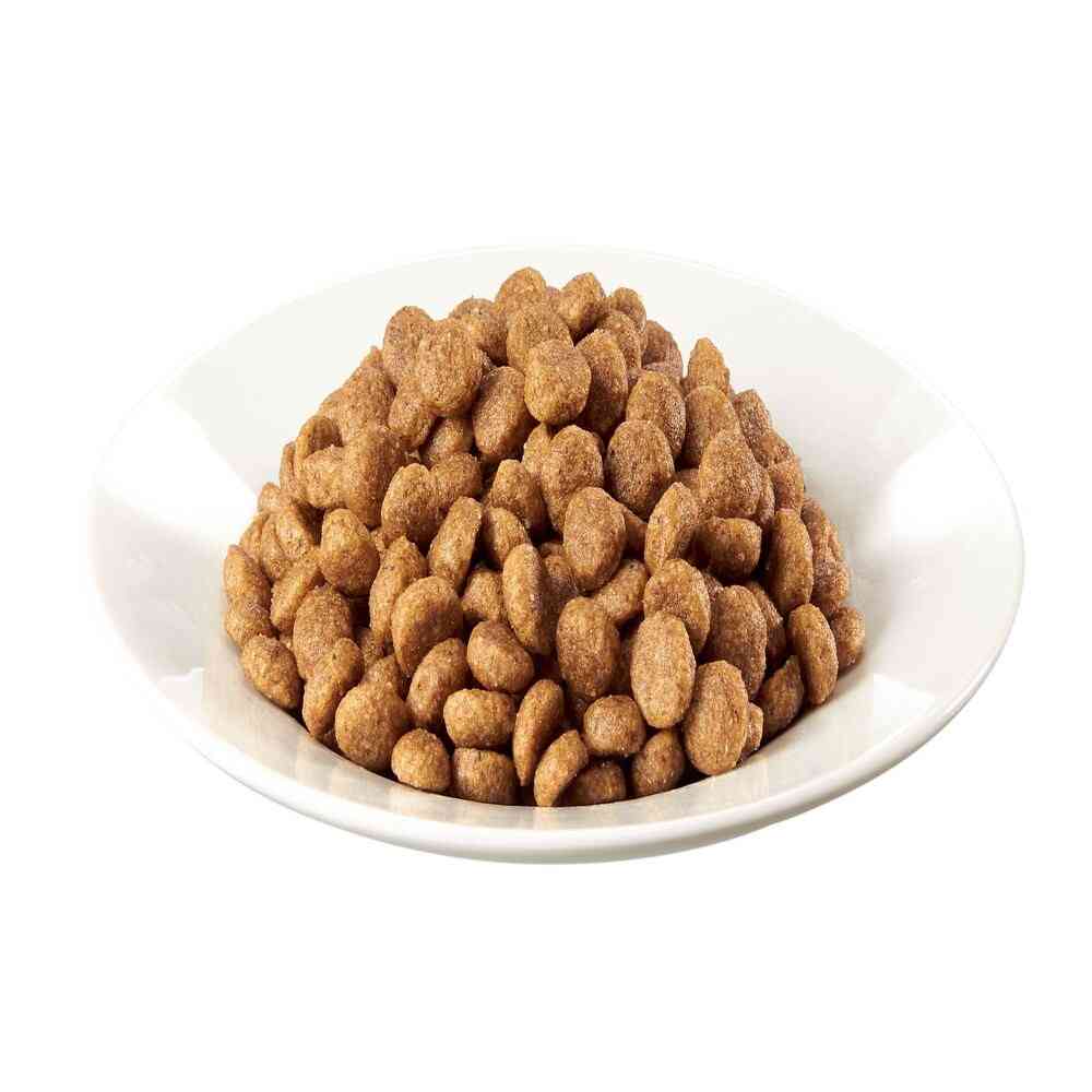 Mars Japan Limited Caesar Dry Adult Dog Food Chicken with 4 Types of Farm Vegetables Small Kibble 1.5kg