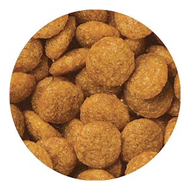 Medifas Advance Kidney Health Maintenance for Dogs 7 Years and Older 200g