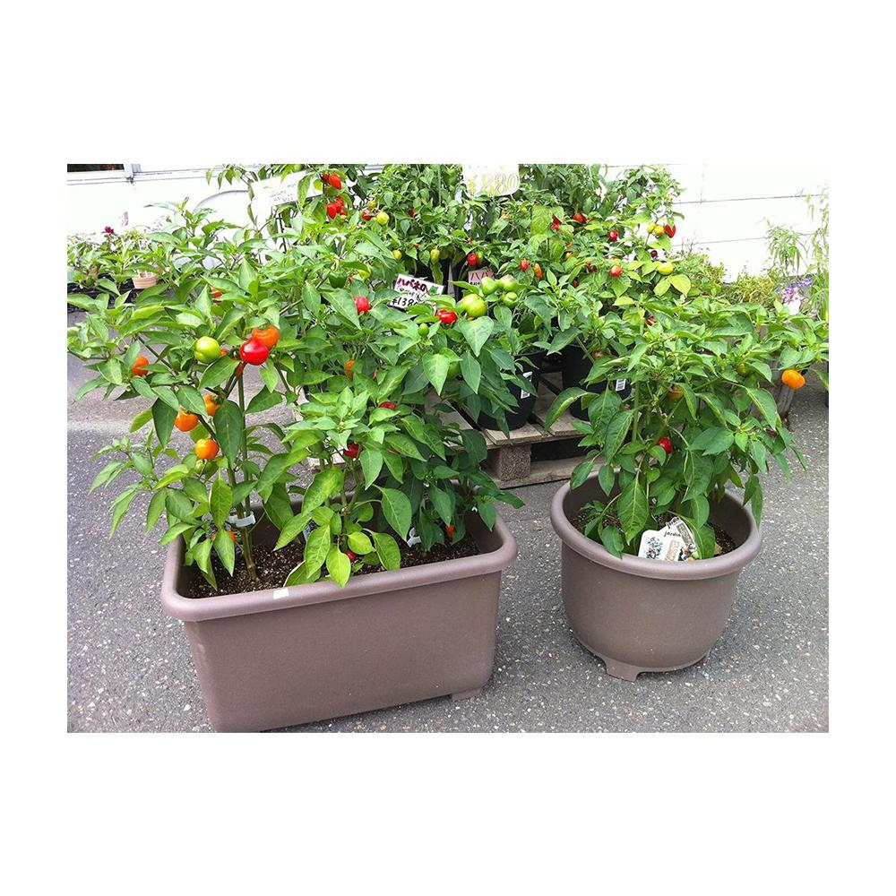 Yamato Plastics Eco & Eco Win Planter Eco Brown Round 38