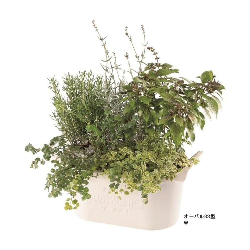 Yamato Plastics Glow Container White Oval 33 Type