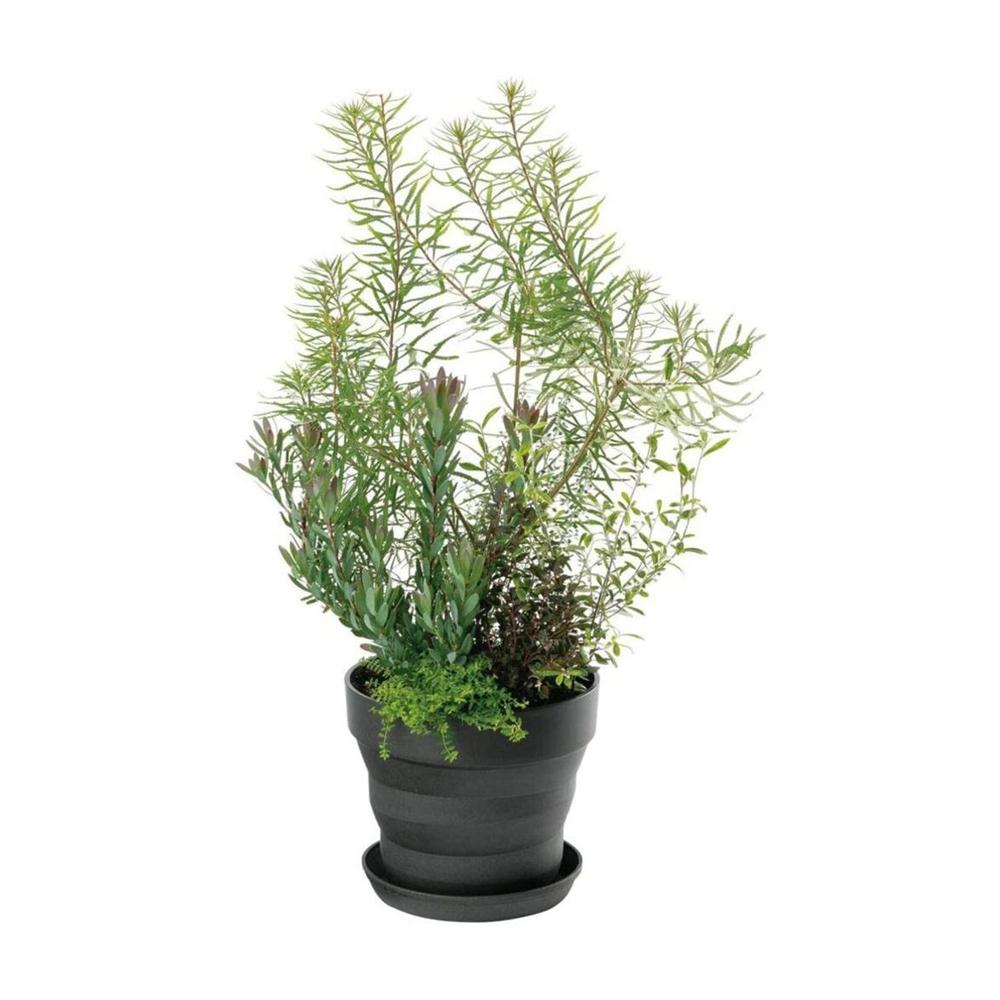 Yamato Plastics Proud Pot Black 18 Type