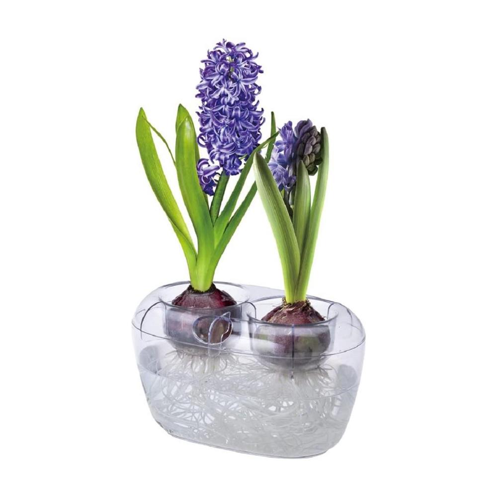 Yamato Plastics VASE Clear Double