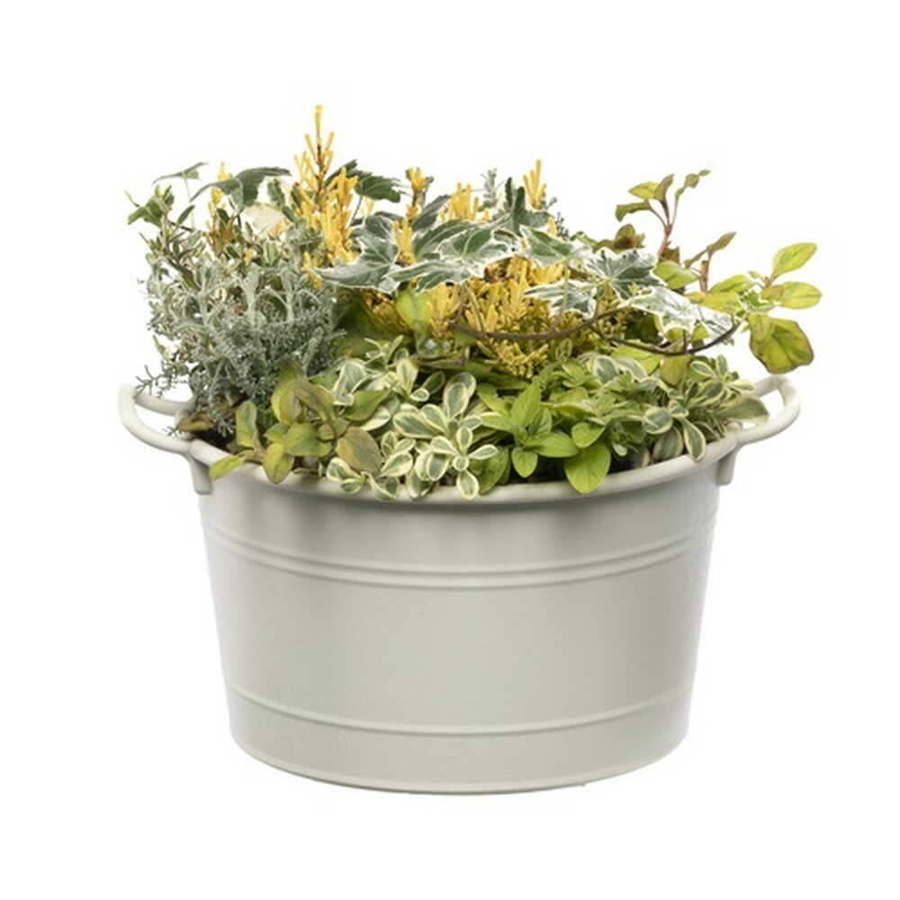 Yamato Plastic Cozy Basket Ivory 25 Type