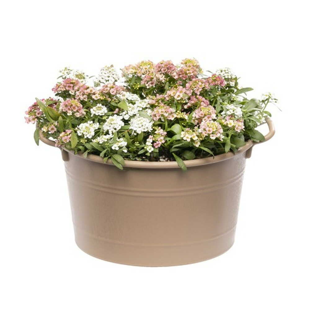 Yamato Plastic Cozy Basket Brown 25 Type