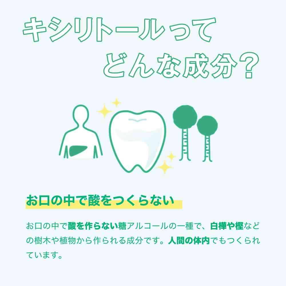 Lotte Xylitol Fresh Mint Bottle 133g