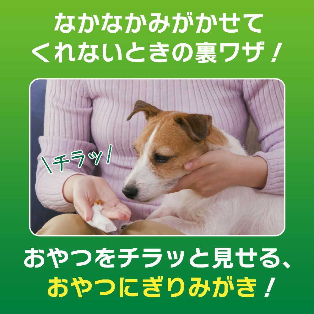 PETKISS Tooth Wiping Sheets