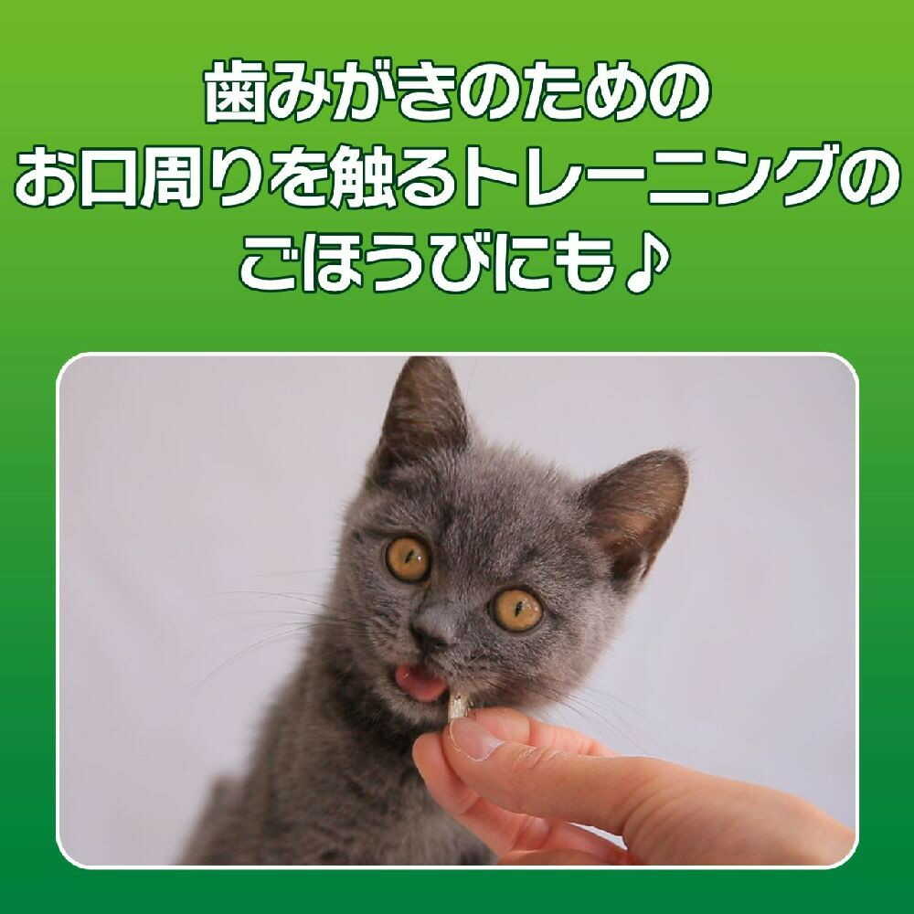 PETKISS Cat Tooth Cleaning Snack - Dried Sardines 12g