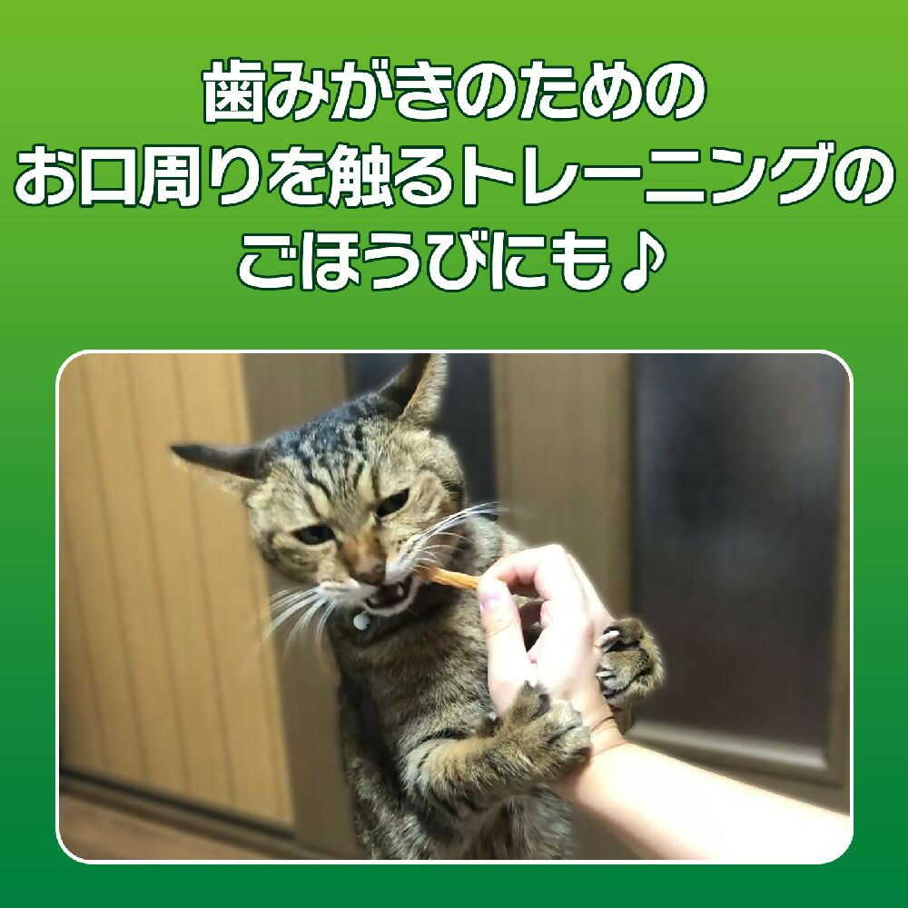 PETKISS Cat Toothbrush Treats Tuna Flavor Stick 7 Sticks