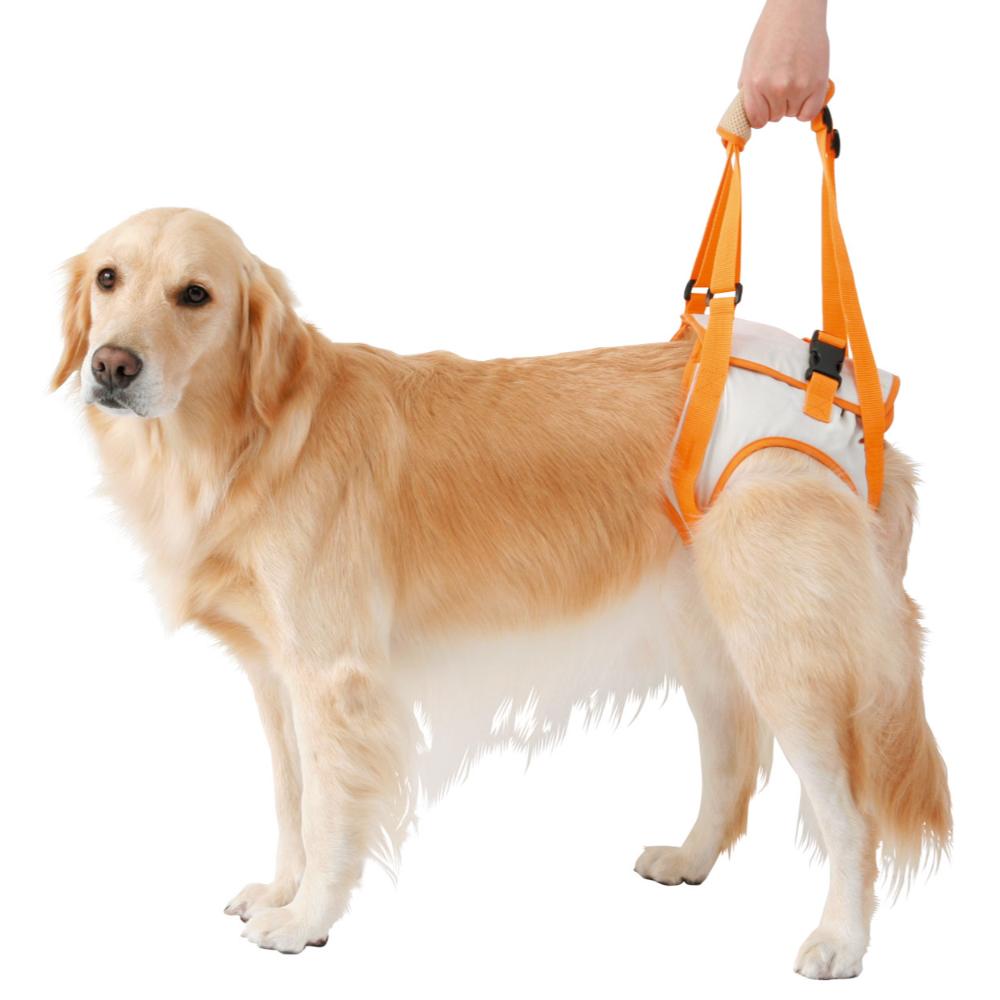 Elderly Dog Care Walking Assistance Harness Rear Legs K 3L