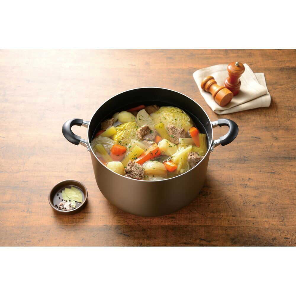 Wahei Freiz Spacious IH Compatible Double Handle Pot 26cm Brown