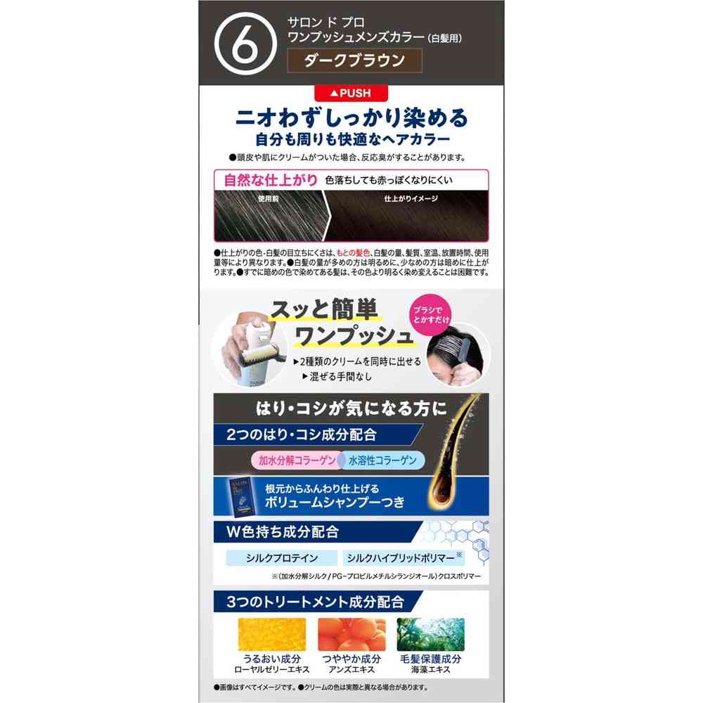 Salon de Pro One-Push Men's Color (Gray Hair) 6 Dark Brown