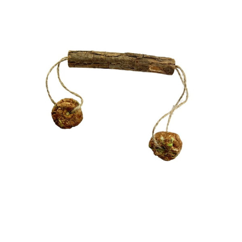 Gall Wasp Chew Stick