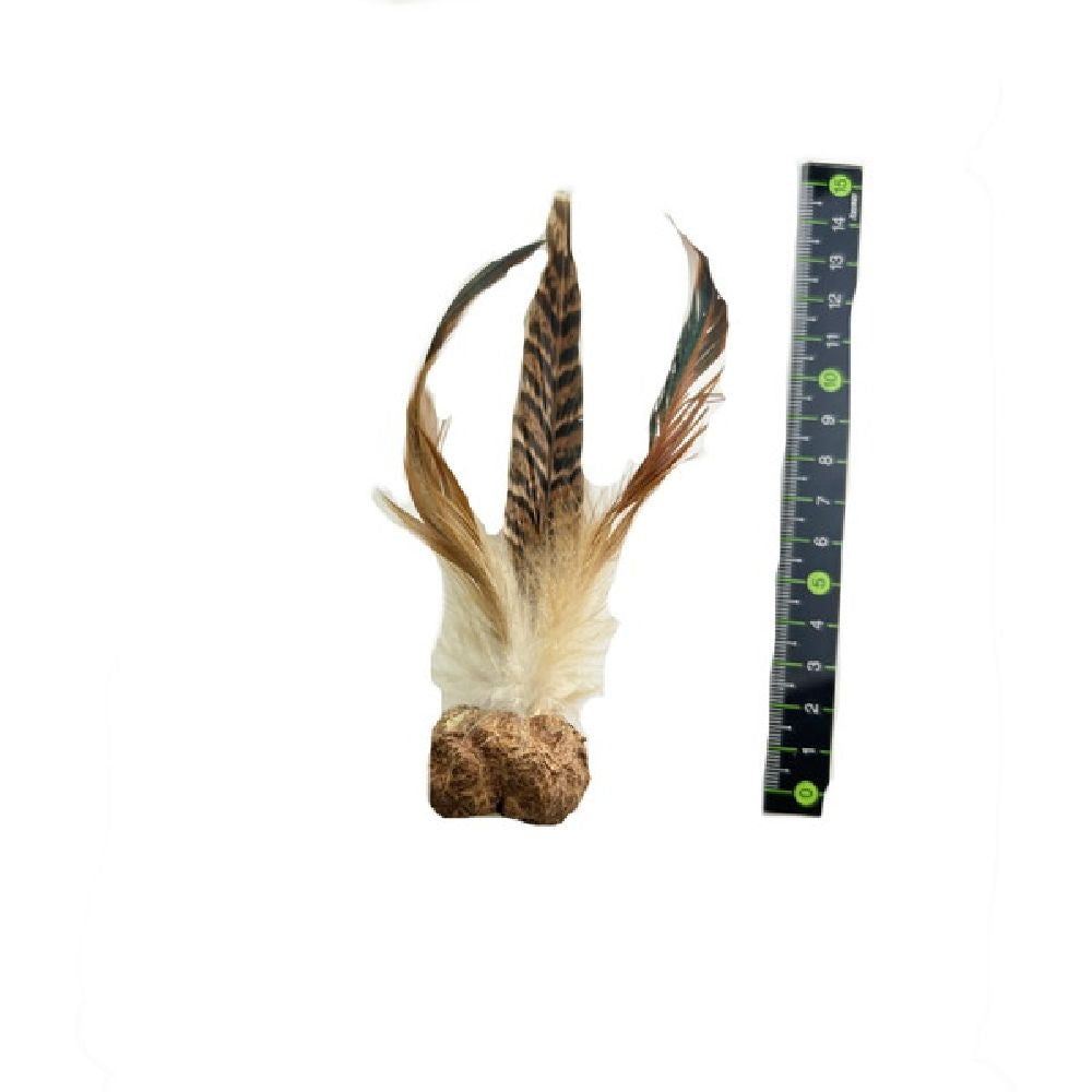 Insect Gall Quail Feather Ball 1 Piece