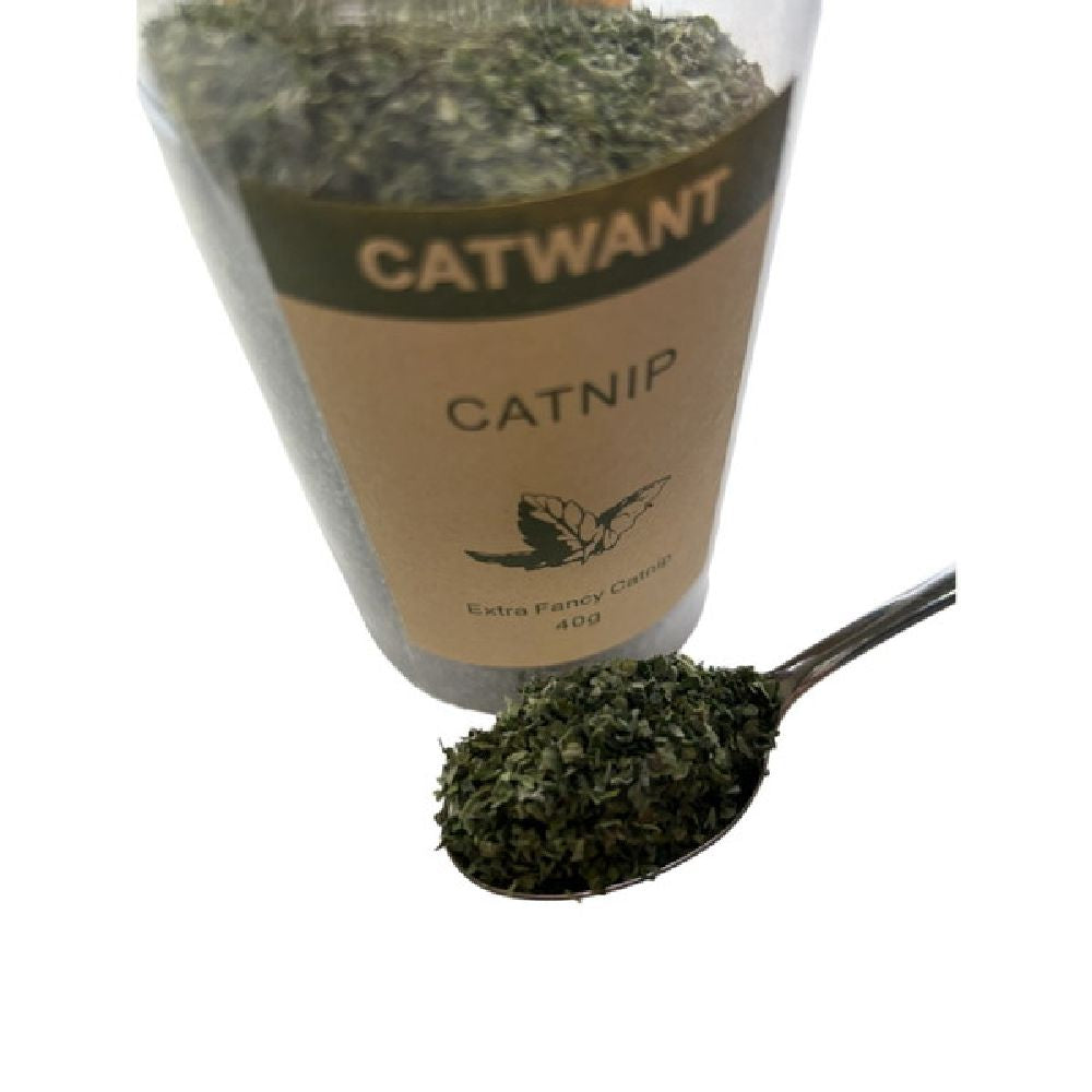 Catnip Fine Powder 40g