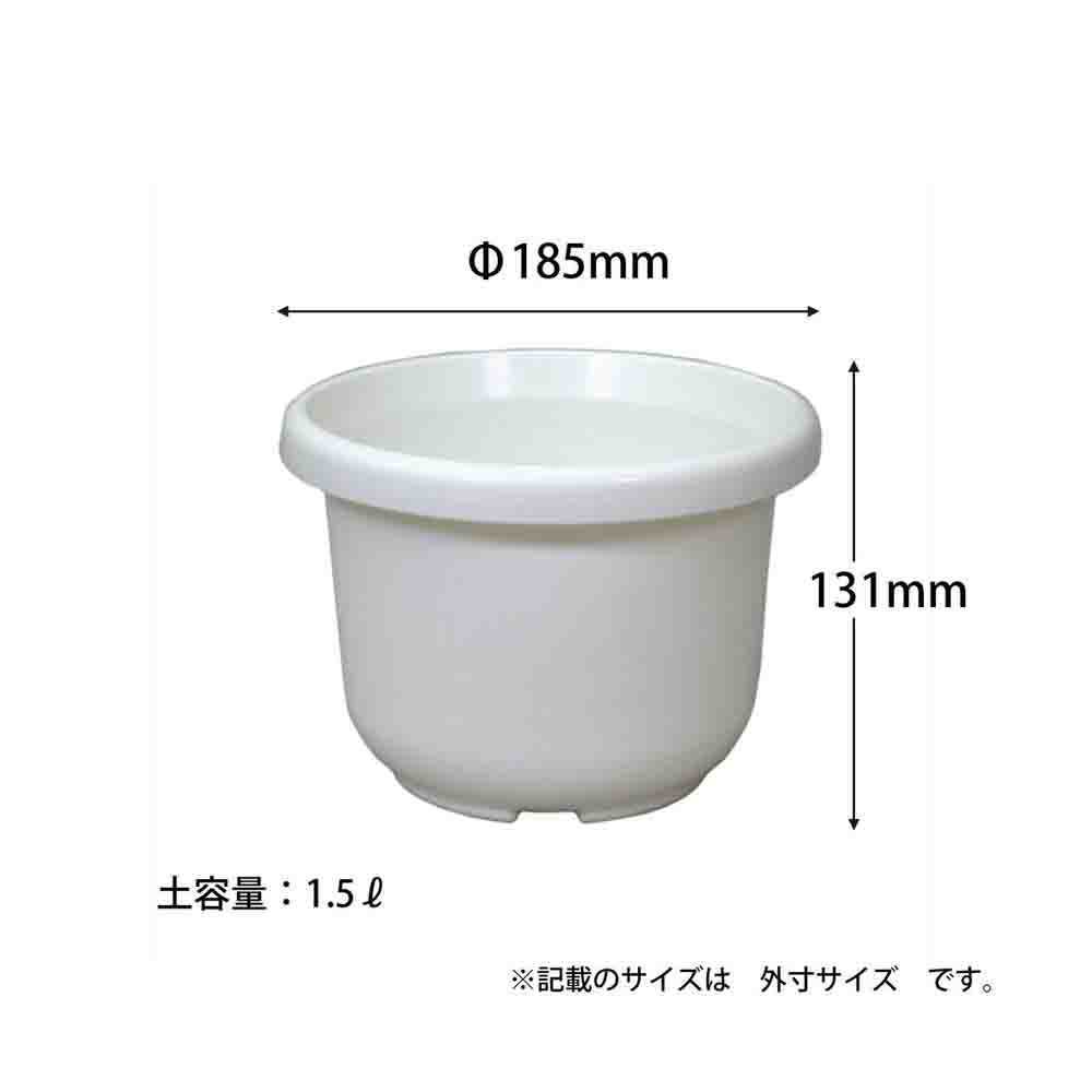 Appleware Round Pot F Type Size 6