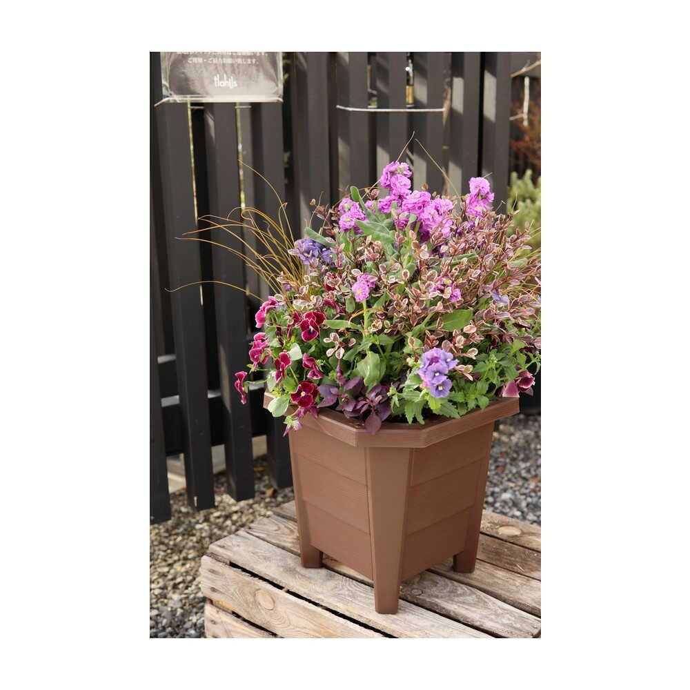 Appleware Flower and Vegetable Planter 300 Type Brown