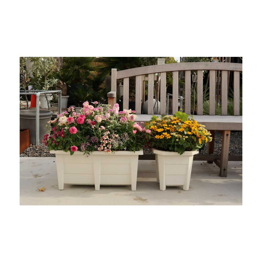 Appleware Flower and Vegetable Planter 600 Type White