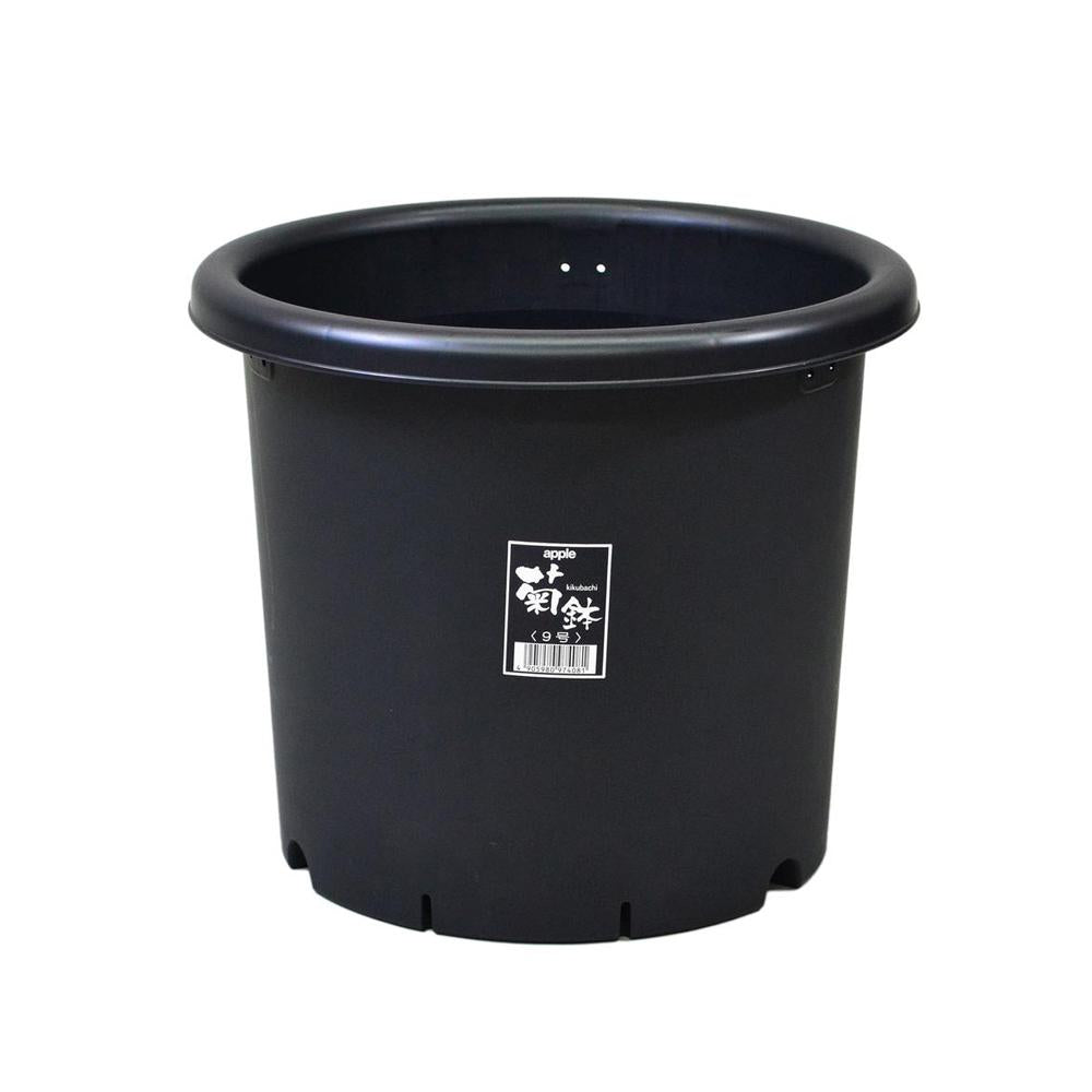 Appleware Kiku Pot Black 8号