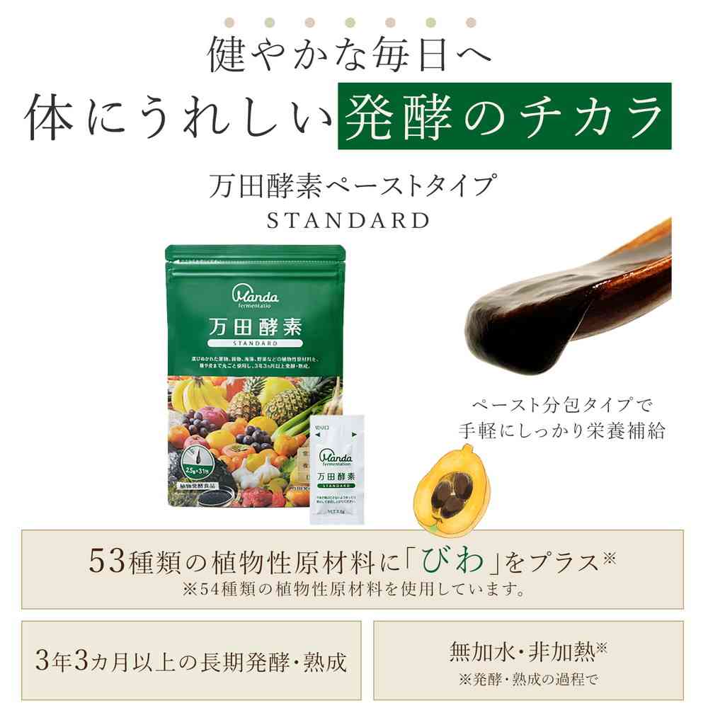 Manda Enzyme STANDARD Packets 2.5g x 31 Packets