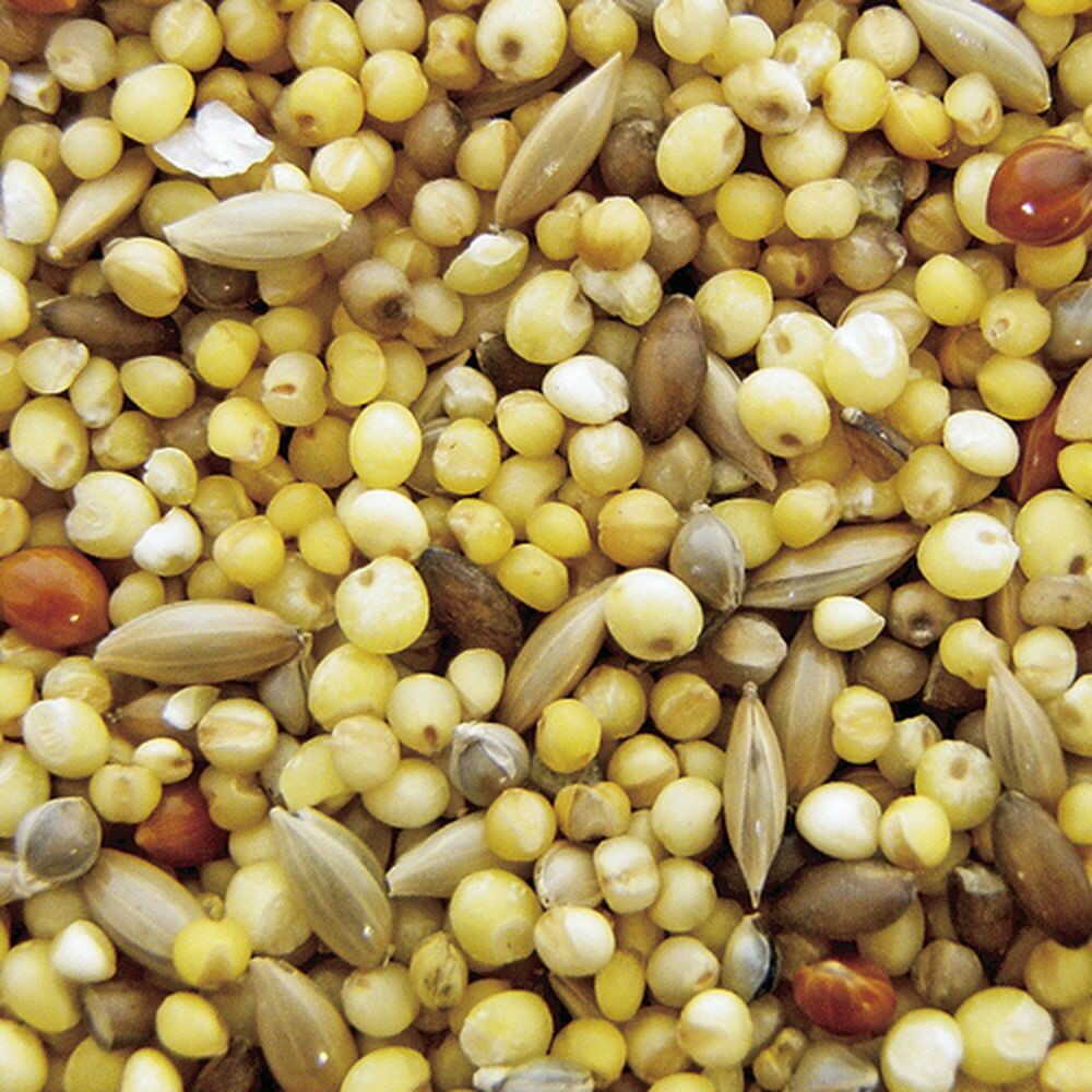 Natural Pet Foods Excel Delicious Bird Food Shelled 900g