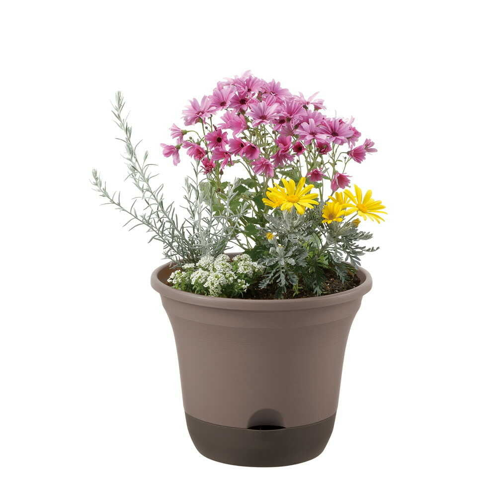 Richell Uruo Pot Dark Brown