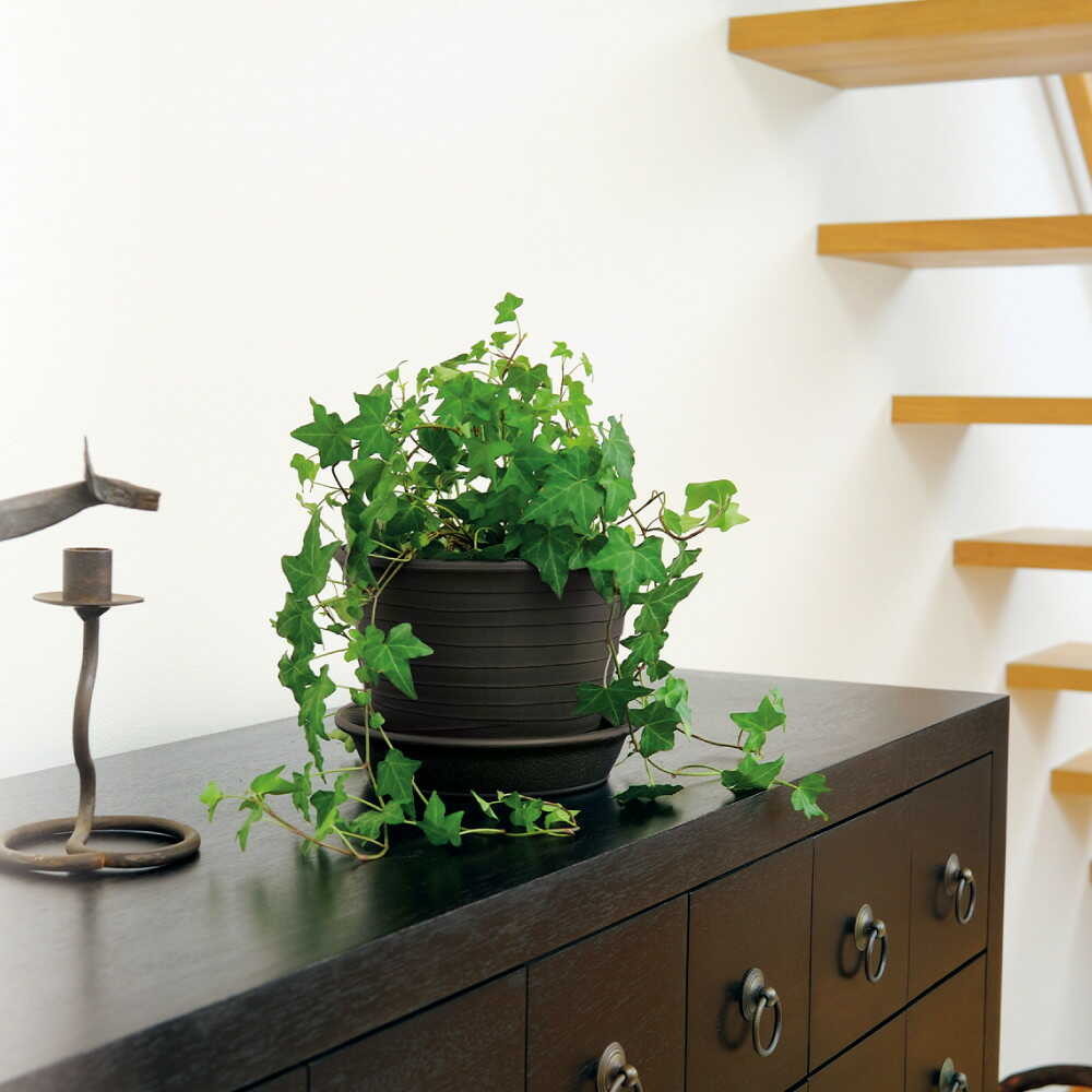 Richell Ecol Pot Dark Gray