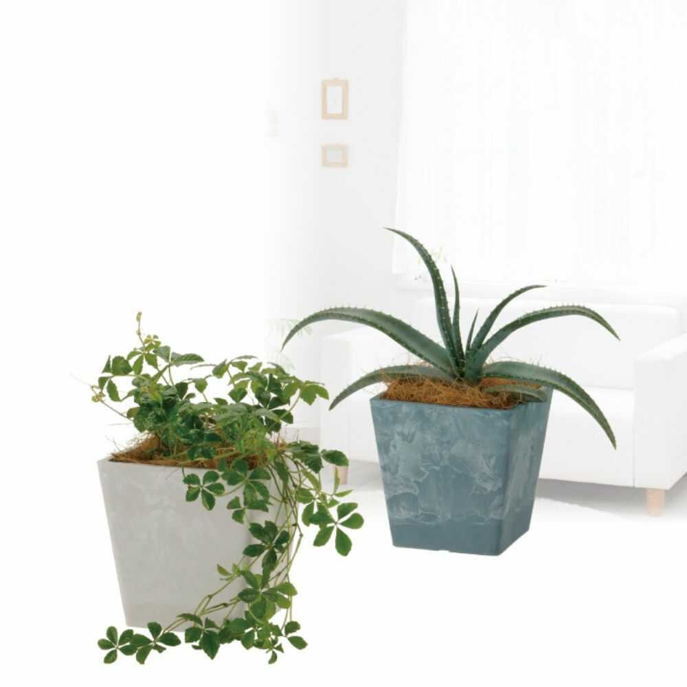 Richell Botany Square Pot Type 10