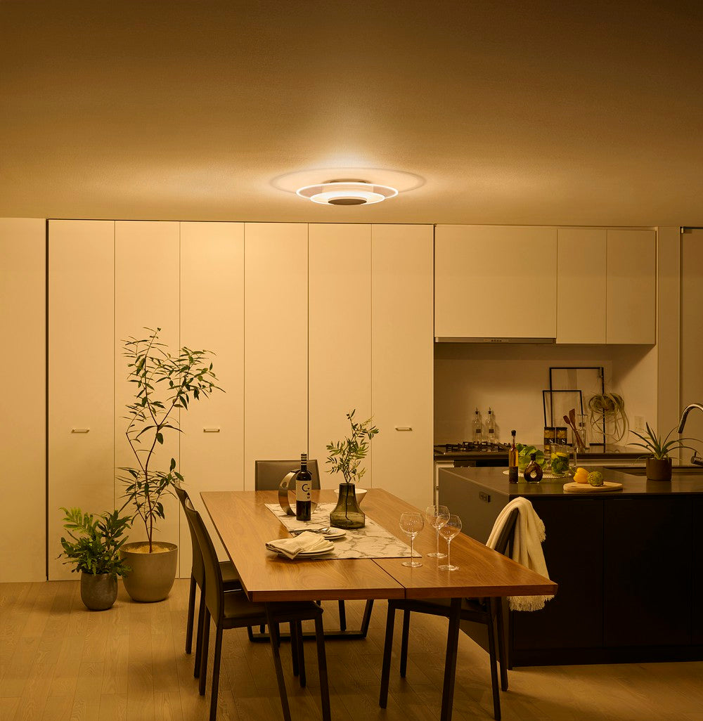 Iris Ohyama LED Ceiling Light Panel Light 12 Tatami