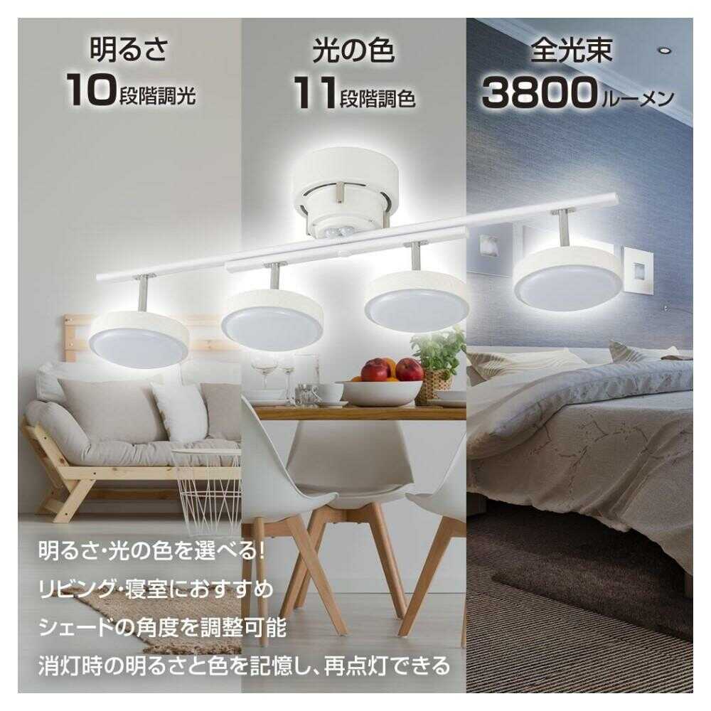 Ohm Electric LED 4-Bulb Ceiling Light