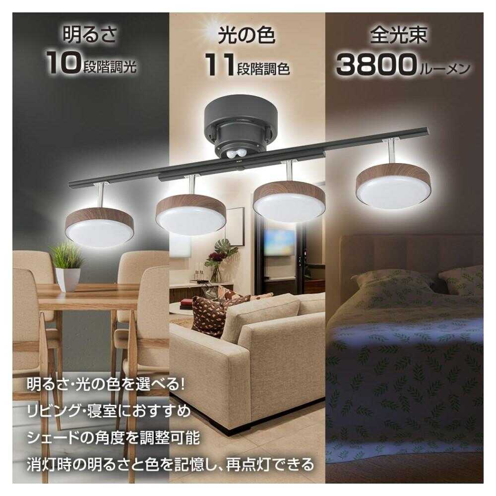 Ohm Electric LED 4-Bulb Ceiling Light